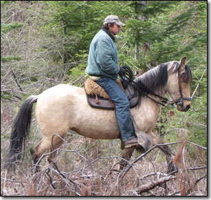 Paso Fino Mare, Calidos Ojos de Dictador on trail.