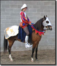 Caudal, Paso Fino Gelding, in costume at show.