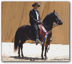 Alberto Sierra on winning stallion Dictador.