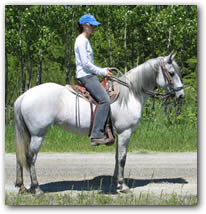 Paso Fino Mare, Elegancia.