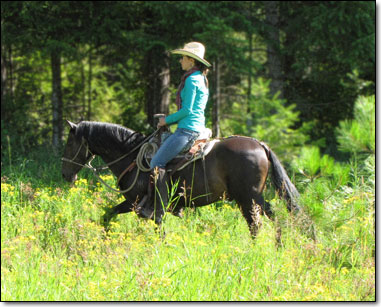 Paso Fino, G.I., on trail.