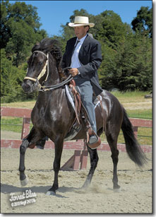 Josephina de Tomaria being ridden in arena.