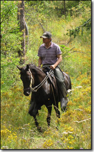 Josephina de Tomaria under saddle on trail ride.