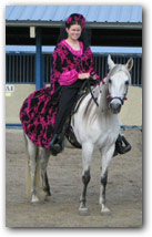 Majestuosa - Grey Paso Fino Mare