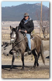 Paso Fino Mare, Tulia de Rancho Fino
