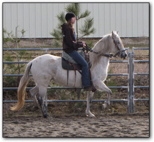Fairway's Petrolera, 2002 Paso Fino Mare under saddle.