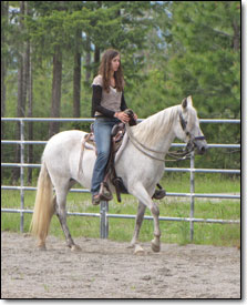 Fairway's Petrolera, 2002 Paso Fino Mare under saddle at a walk.