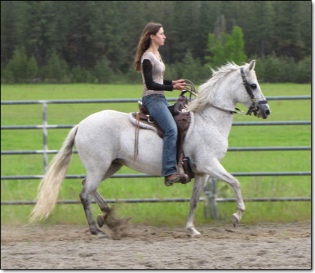 Fairway's Petrolera, 2002 Paso Fino Mare under saddle.