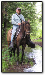 Paso Fino Geldiing, Quiereme Mucho being ridden by running stream.