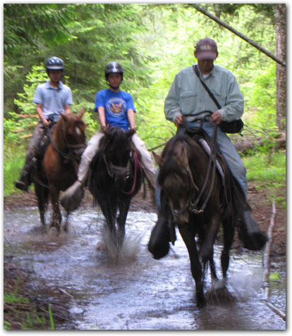 Paso Finos, Quiereme Mucho, Cielo Grand Valor and Westwind's Dali being ridden through running creek.