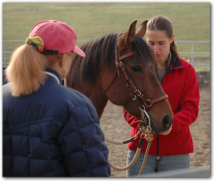 Sarah teaching student about Paso Fino head gear.