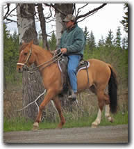 Sierra Compilias, 3 year old red dun gelding.
