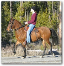 Flying M Turca - Paso Fino bay Mare.